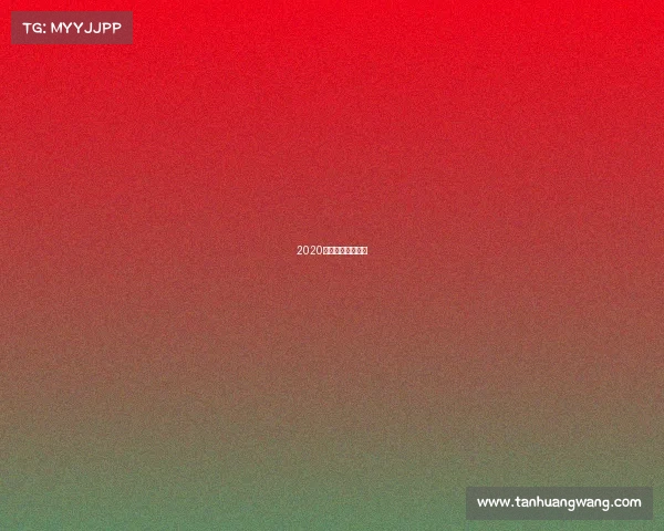 2020年上海赛车场赛事