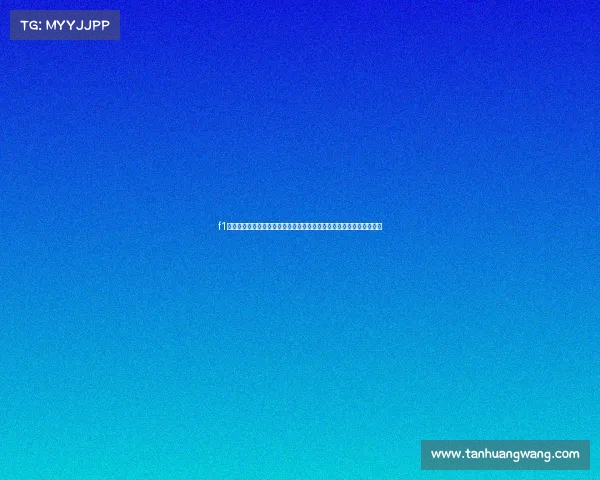 f1赛事策划—一级方程式赛事策划终极手册高效组织创新执行与风险管理