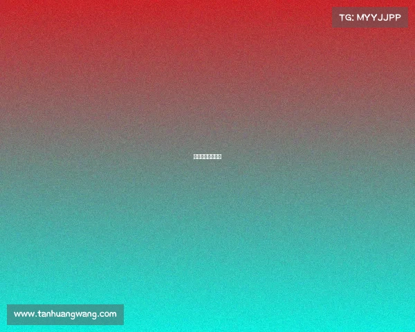 世界杯的赛事安排