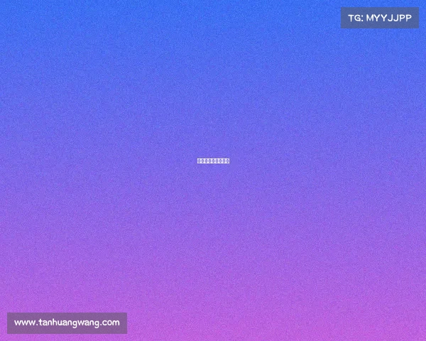 常规赛最高连胜纪录