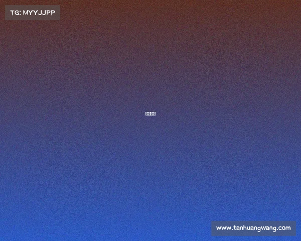 重庆西坝 重庆西坝